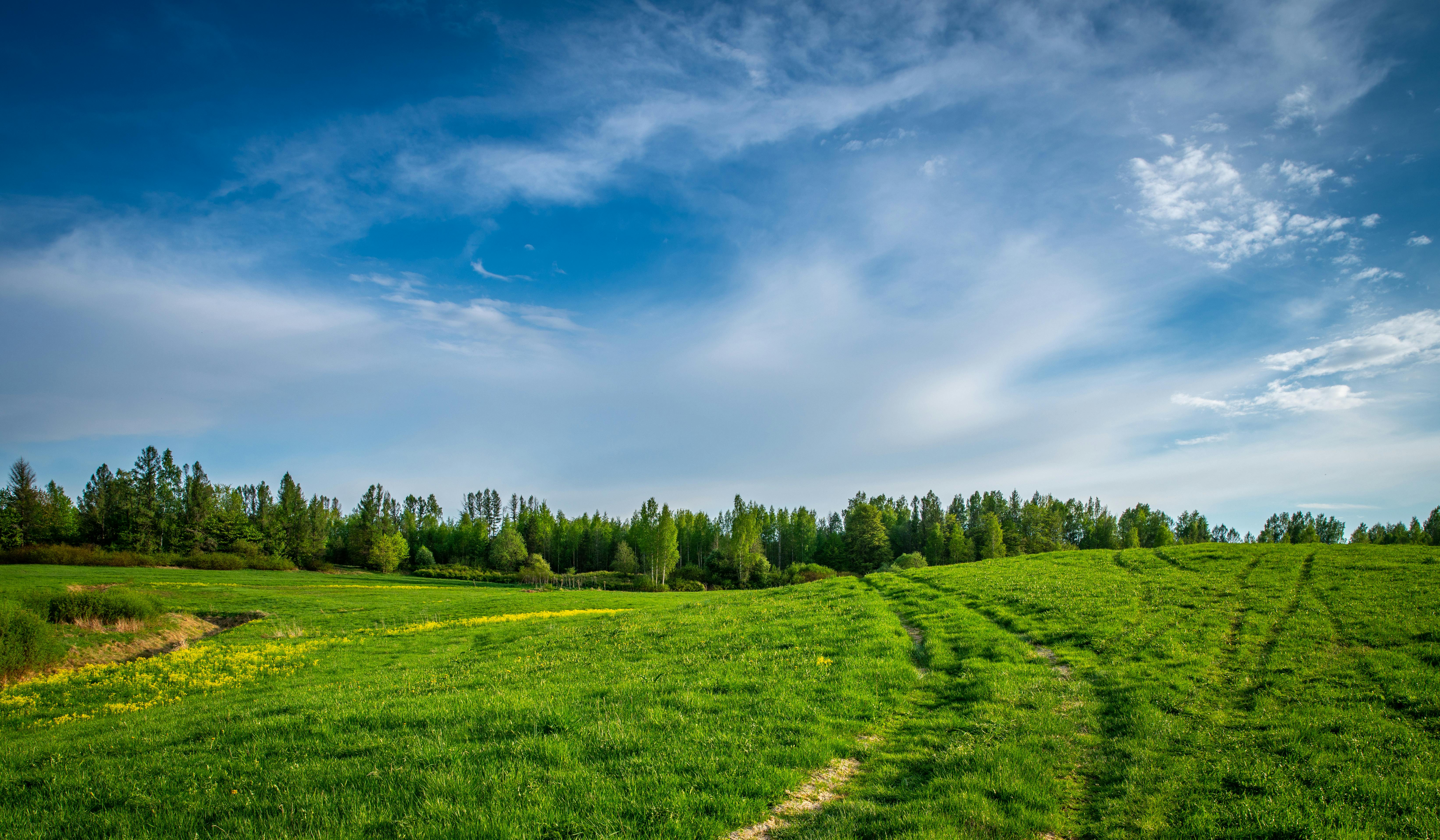 Lands